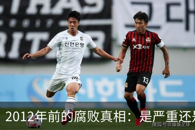 2012年前的腐败真相：是严重还是轻微？